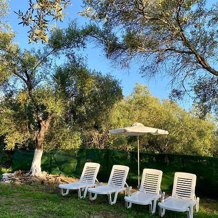Endless Green: Feel Free And Cozy In Nature Perivólion Exteriör bild