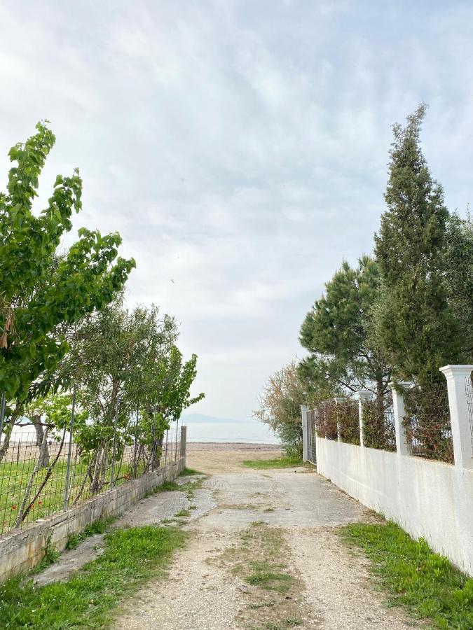 Endless Green: Feel Free And Cozy In Nature Perivólion Exteriör bild