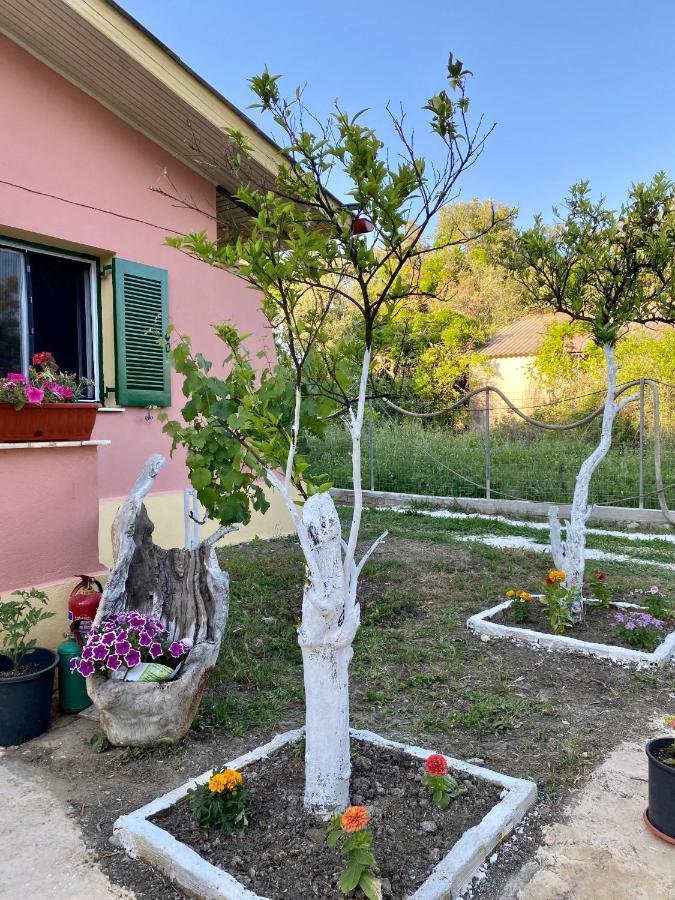Endless Green: Feel Free And Cozy In Nature Perivólion Exteriör bild