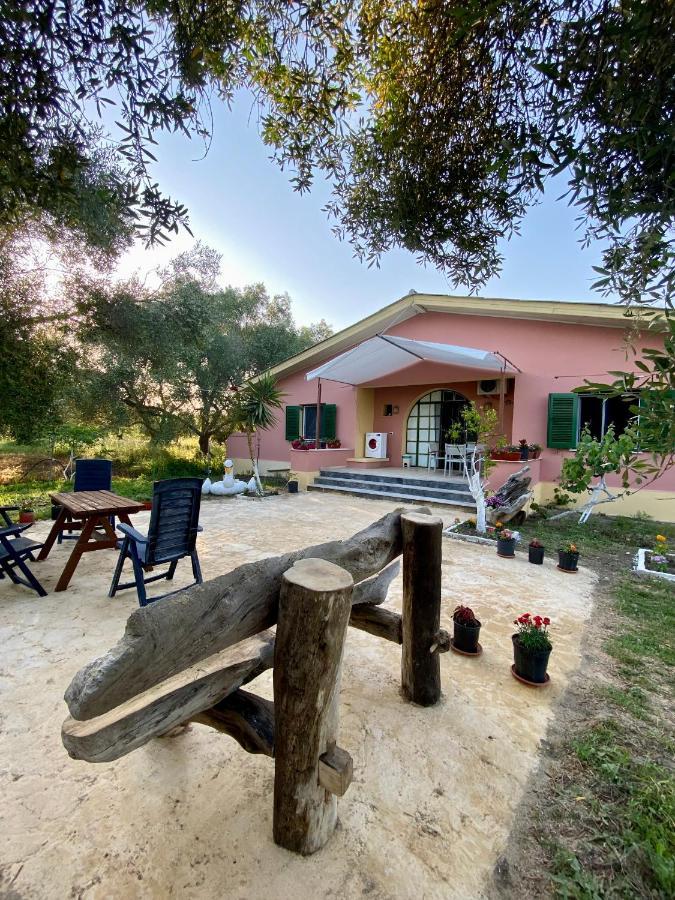 Endless Green: Feel Free And Cozy In Nature Perivólion Exteriör bild